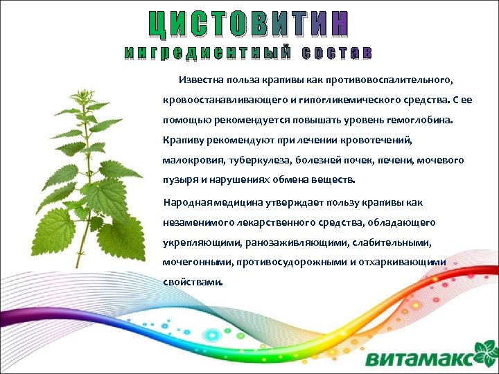 ЦИСТОВИТИН ингредиентный состав Известна польза крапивы как противовоспалительного, кровоостанавливающего и гипогликемического средства. С ее