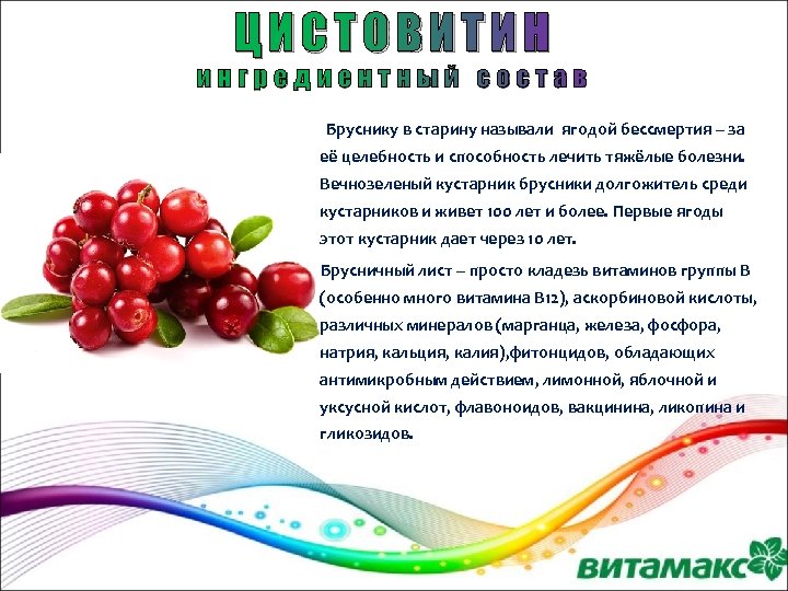 ЦИСТОВИТИН ингредиентный состав Бруснику в старину называли ягодой бессмертия – за её целебность и