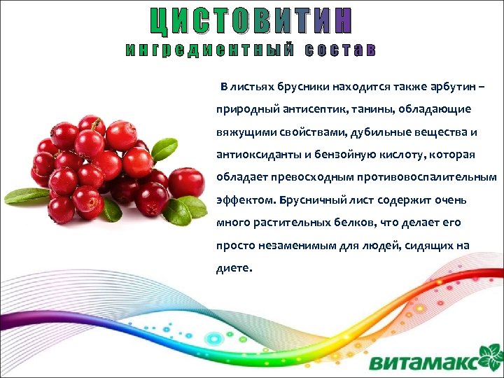 ЦИСТОВИТИН ингредиентный состав В листьях брусники находится также арбутин – природный антисептик, танины, обладающие