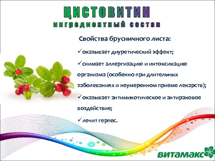 ЦИСТОВИТИН ингредиентный состав Свойства брусничного листа: üоказывает диуретический эффект; üснимает аллергизацию и интоксикацию организма