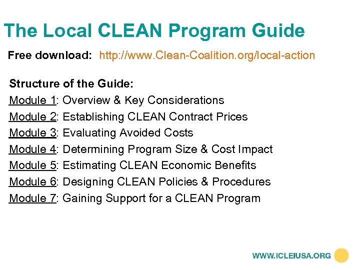 The Local CLEAN Program Guide Free download: http: //www. Clean-Coalition. org/local-action Structure of the