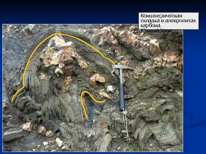 Концентрическая складка в алевролитах карбона. Южный Урал 