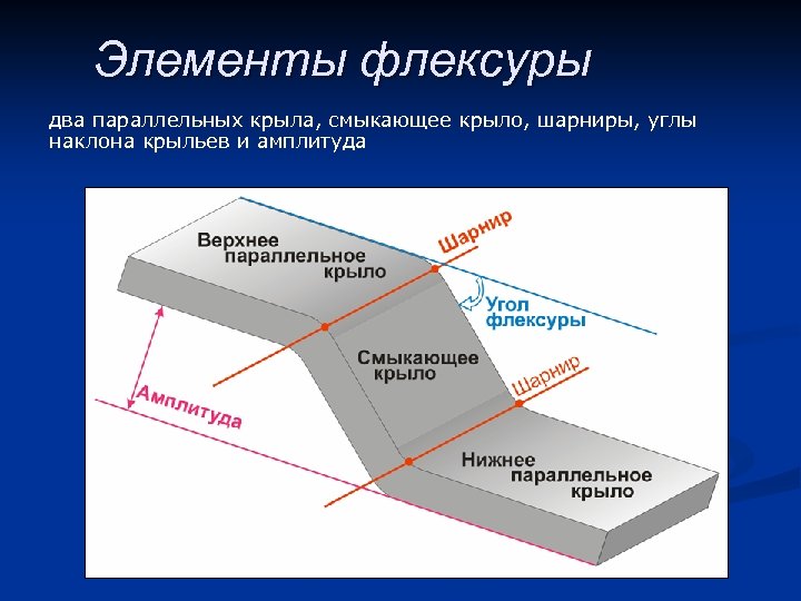Элементы флексуры два параллельных крыла, смыкающее крыло, шарниры, углы наклона крыльев и амплитуда 