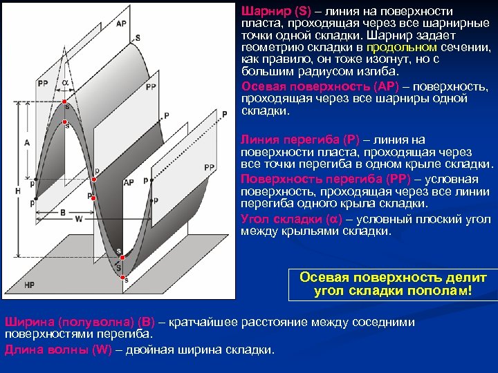 Шарнир (S) – линия на поверхности пласта, проходящая через все шарнирные точки одной складки.