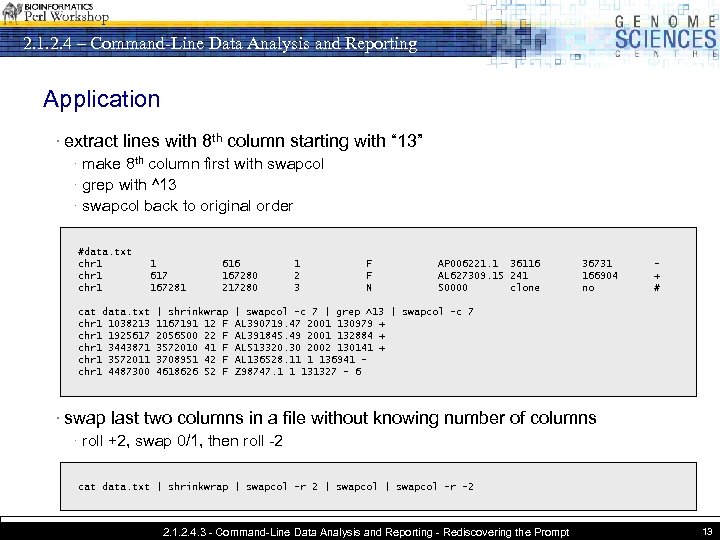 2. 1. 2. 4 – Command-Line Data Analysis and Reporting Application · extract lines