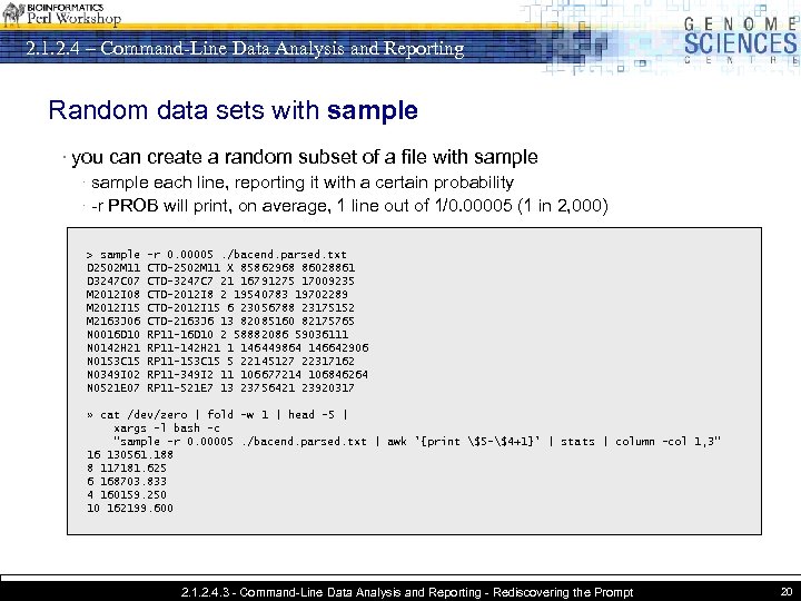 2. 1. 2. 4 – Command-Line Data Analysis and Reporting Random data sets with