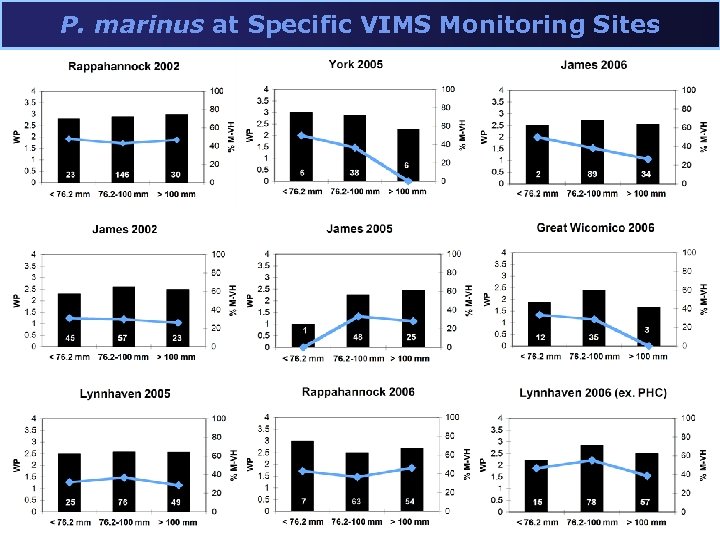 P. marinus at Specific VIMS Monitoring Sites 
