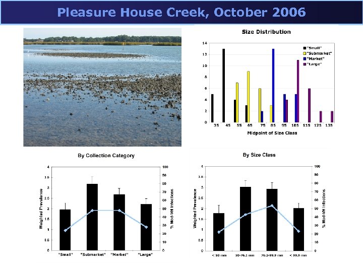 Pleasure House Creek, October 2006 