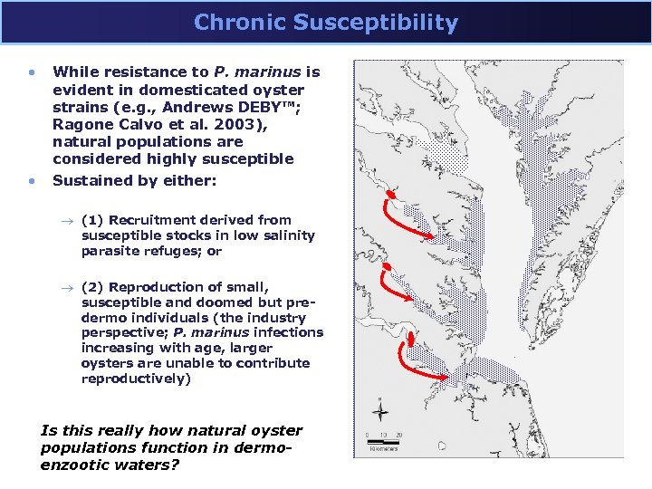 Chronic Susceptibility • • While resistance to P. marinus is evident in domesticated oyster
