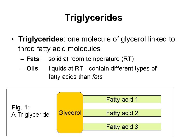 Triglycerides • Triglycerides: one molecule of glycerol linked to three fatty acid molecules –