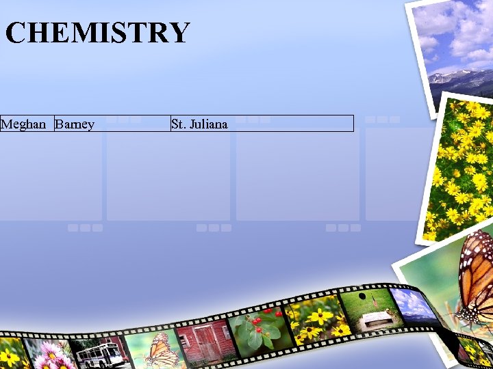 CHEMISTRY Meghan Barney St. Juliana 