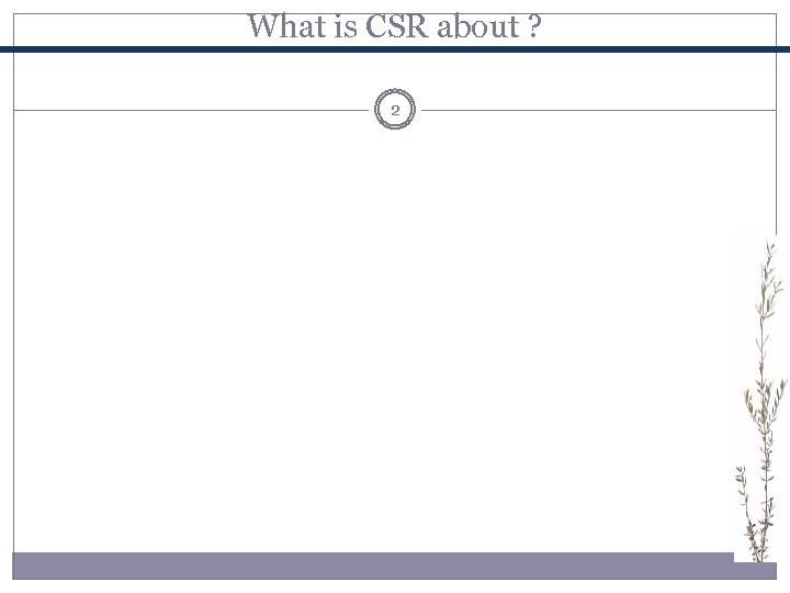 What is CSR about ? 2 