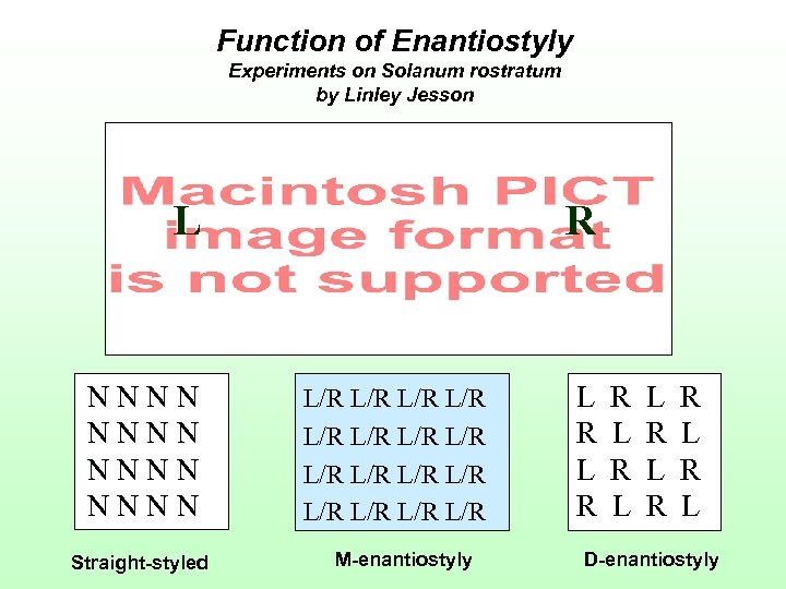 Function of Enantiostyly Experiments on Solanum rostratum by Linley Jesson L NNNN Straight-styled R