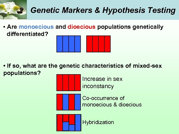 Genetic Markers & Hypothesis Testing • Are monoecious and dioecious populations genetically differentiated? •