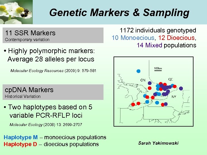 Genetic Markers & Sampling 11 SSR Markers Contemporary variation • Highly polymorphic markers: Average