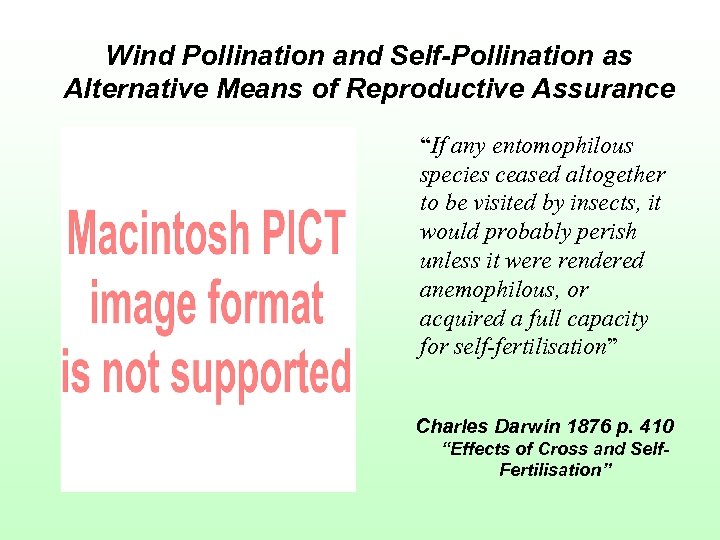 Wind Pollination and Self-Pollination as Alternative Means of Reproductive Assurance “If any entomophilous species