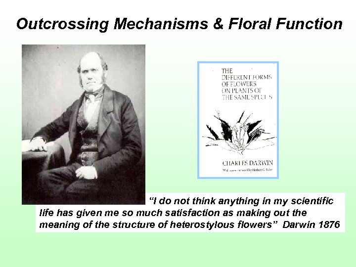 Outcrossing Mechanisms & Floral Function “I do not think anything in my scientific life