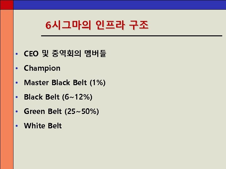 6시그마의 인프라 구조 • CEO 및 중역회의 멤버들 • Champion • Master Black Belt