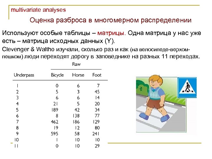 Анализ и оценка данных