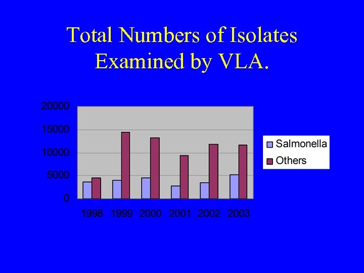 Total Numbers of Isolates Examined by VLA. 