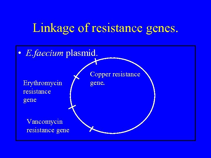 Linkage of resistance genes. • E. faecium plasmid. Erythromycin resistance gene Vancomycin resistance gene