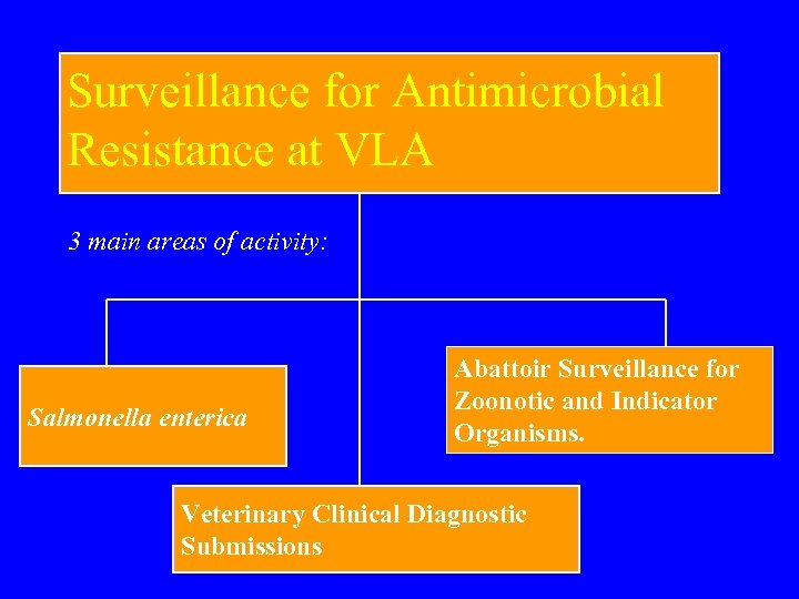 Surveillance for Antimicrobial Resistance at VLA 3 main areas of activity: Salmonella enterica Abattoir
