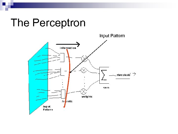 The Perceptron Input Pattern 
