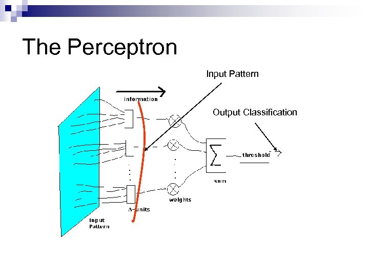 The Perceptron Input Pattern Output Classification 