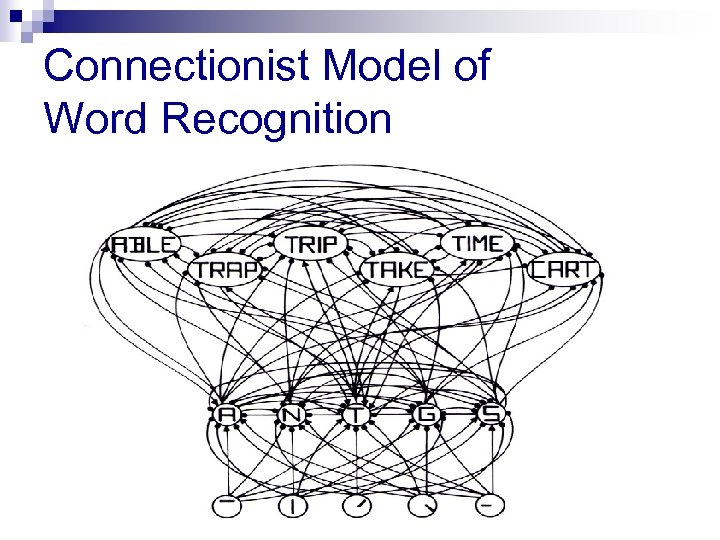 Connectionist Model of Word Recognition 