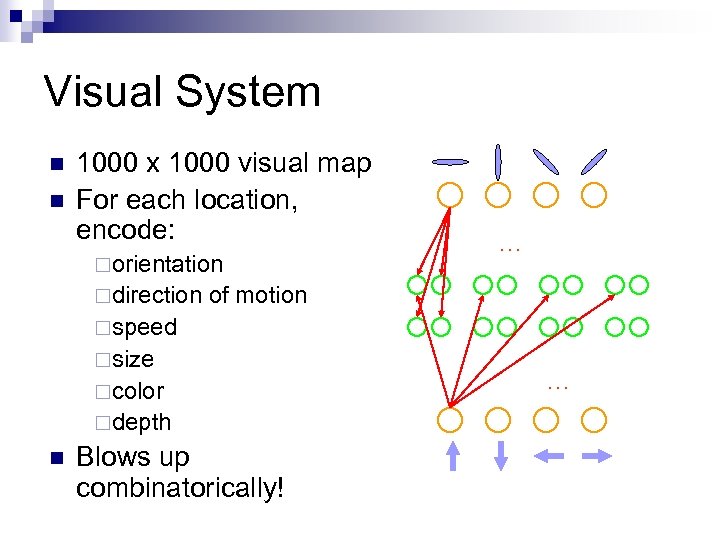 Visual System n n 1000 x 1000 visual map For each location, encode: ¨orientation