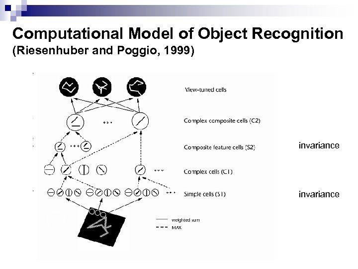Computational Model of Object Recognition (Riesenhuber and Poggio, 1999) invariance 