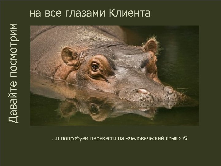 Давайте посмотрим на все глазами Клиента …и попробуем перевести на «человеческий язык» 