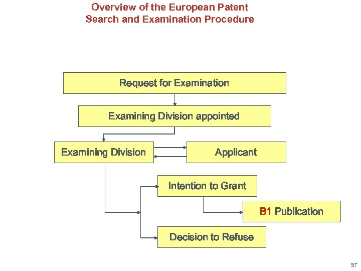 Overview of the European Patent Search and Examination Procedure Request for Examination Examining Division