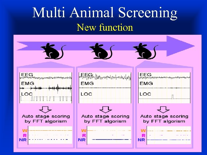 Multi Animal Screening New function 