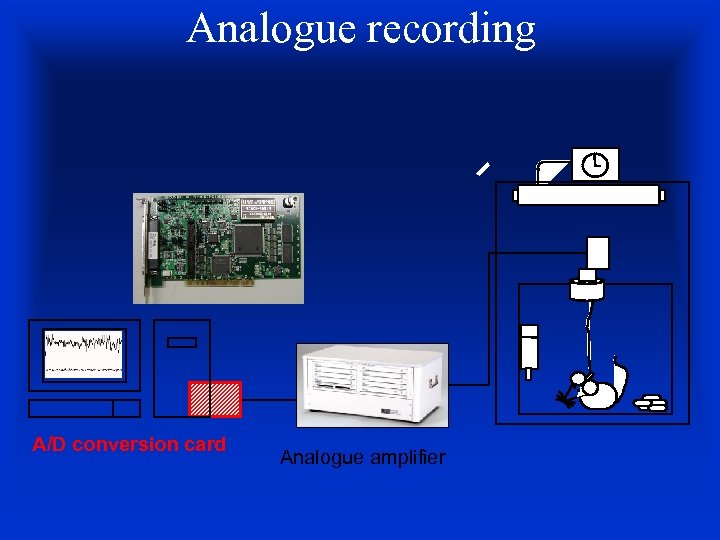 Analogue recording A/D conversion card Analogue amplifier 