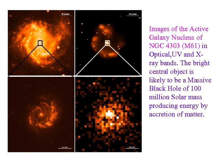  Images of the Active Galaxy Nucleus of NGC 4303 (M 61) in Optical,