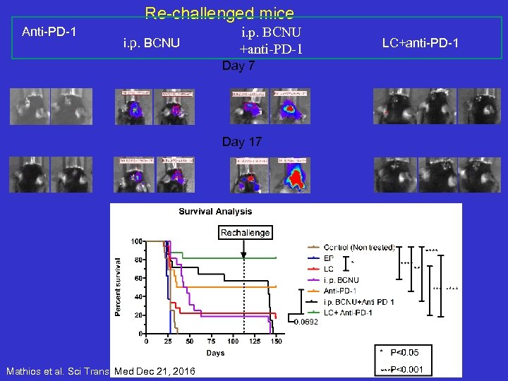 Re-challenged mice Anti-PD-1 i. p. BCNU +anti-PD-1 Day 7 Day 17 Mathios et al.