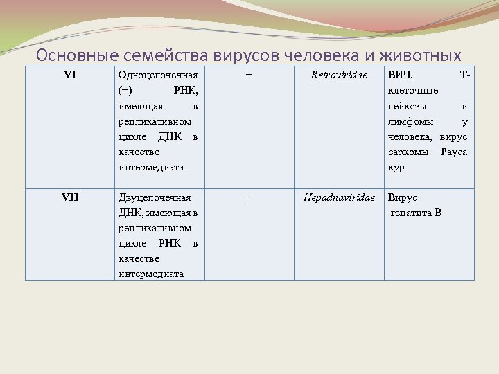 Основные семейства вирусов человека и животных VI Одноцепочечная (+) РНК, имеющая в репликативном цикле