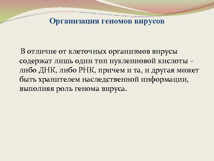 Организация геномов вирусов В отличие от клеточных организмов вирусы содержат лишь один тип нуклеиновой