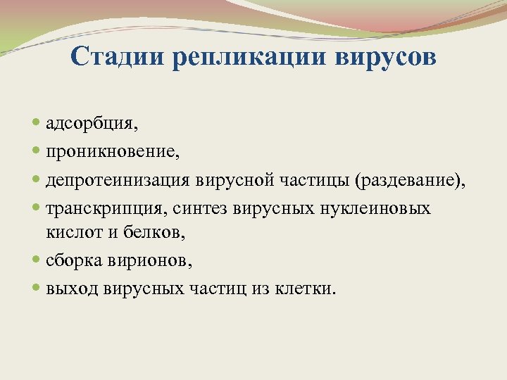 Стадии репликации вирусов адсорбция, проникновение, депротеинизация вирусной частицы (раздевание), транскрипция, синтез вирусных нуклеиновых кислот
