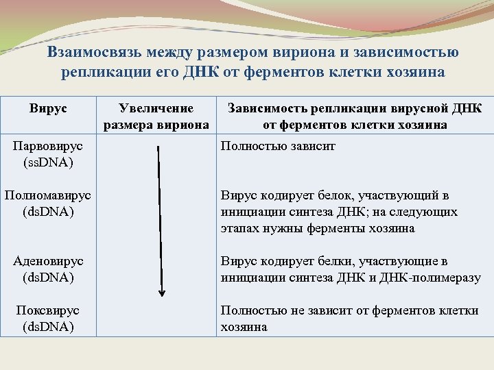 Уникальная последовательность байтов принадлежащая вирусу и не встречающаяся в других программах это