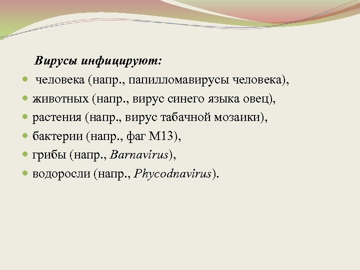  Вирусы инфицируют: человека (напр. , папилломавирусы человека), животных (напр. , вирус синего языка