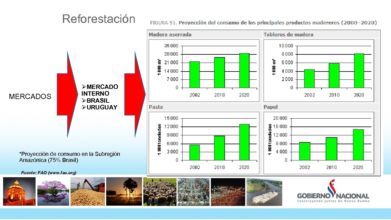 Reforestación MERCADOS ØMERCADO INTERNO ØBRASIL ØURUGUAY *Proyección de consumo en la Subregión Amazónica (75%