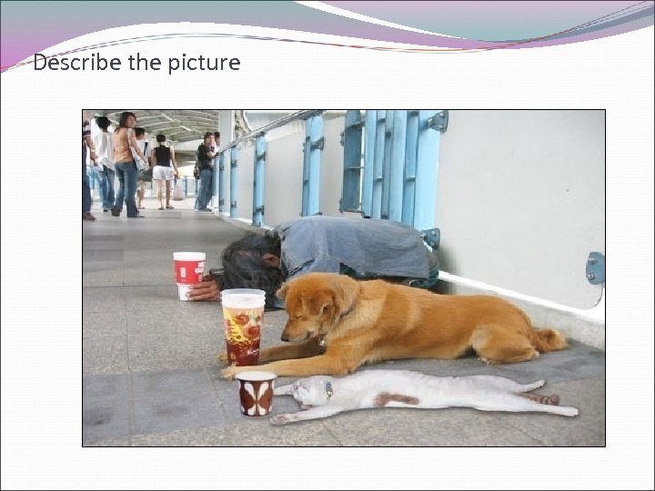 Describe the picture 