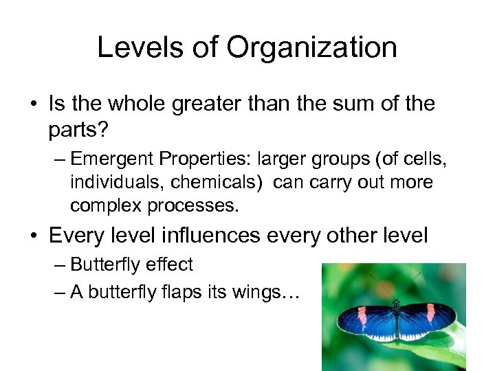 Levels of Organization • Is the whole greater than the sum of the parts?