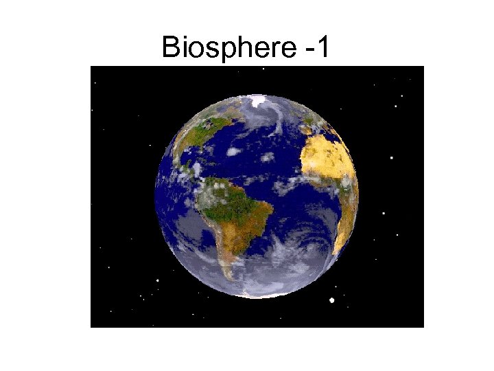 Biosphere -1 