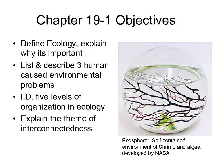 Chapter 19 -1 Objectives • Define Ecology, explain why its important • List &