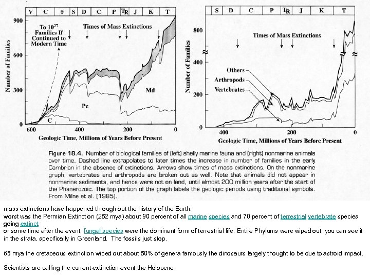 mass extinctions have happened through out the history of the Earth. worst was the