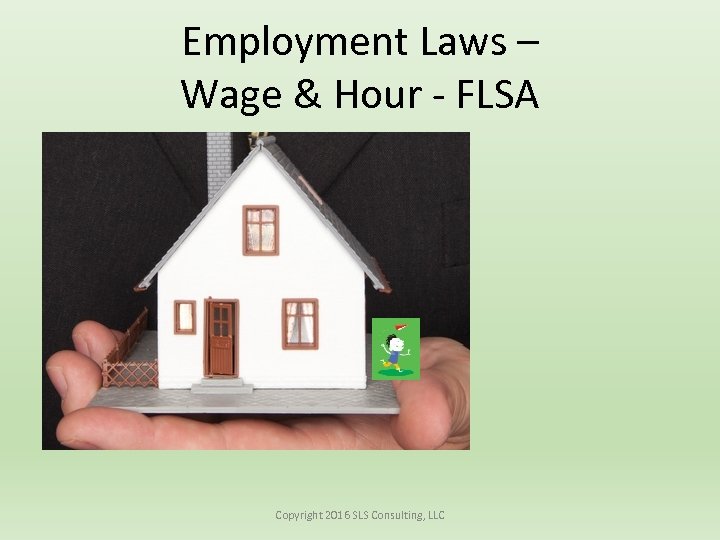 Employment Laws – Wage & Hour - FLSA Copyright 2016 SLS Consulting, LLC 