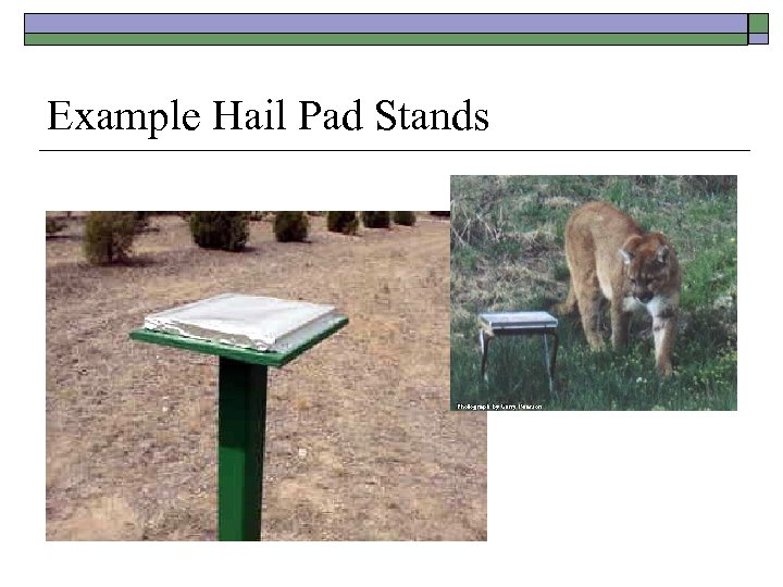 Example Hail Pad Stands 